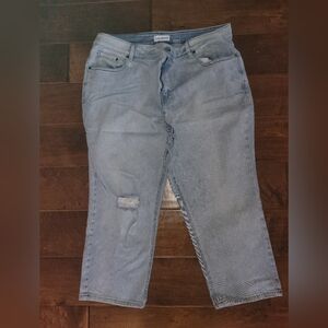 Lane bryant high rise straight jean. Worn once size22